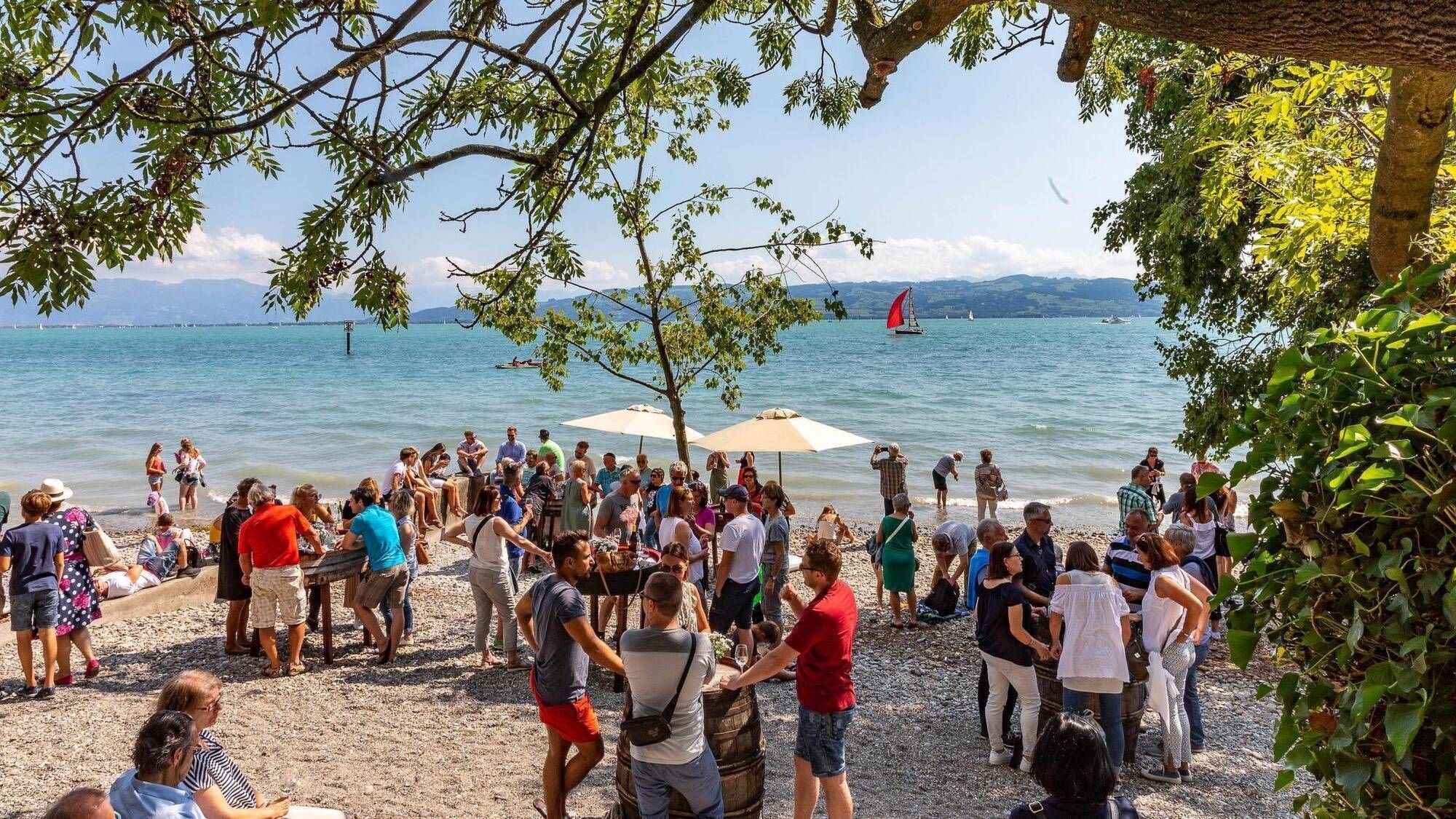 Sehr Traurig Wieso Winzer Am Bayerischen Bodensee Ihre Weinfeste Absagen