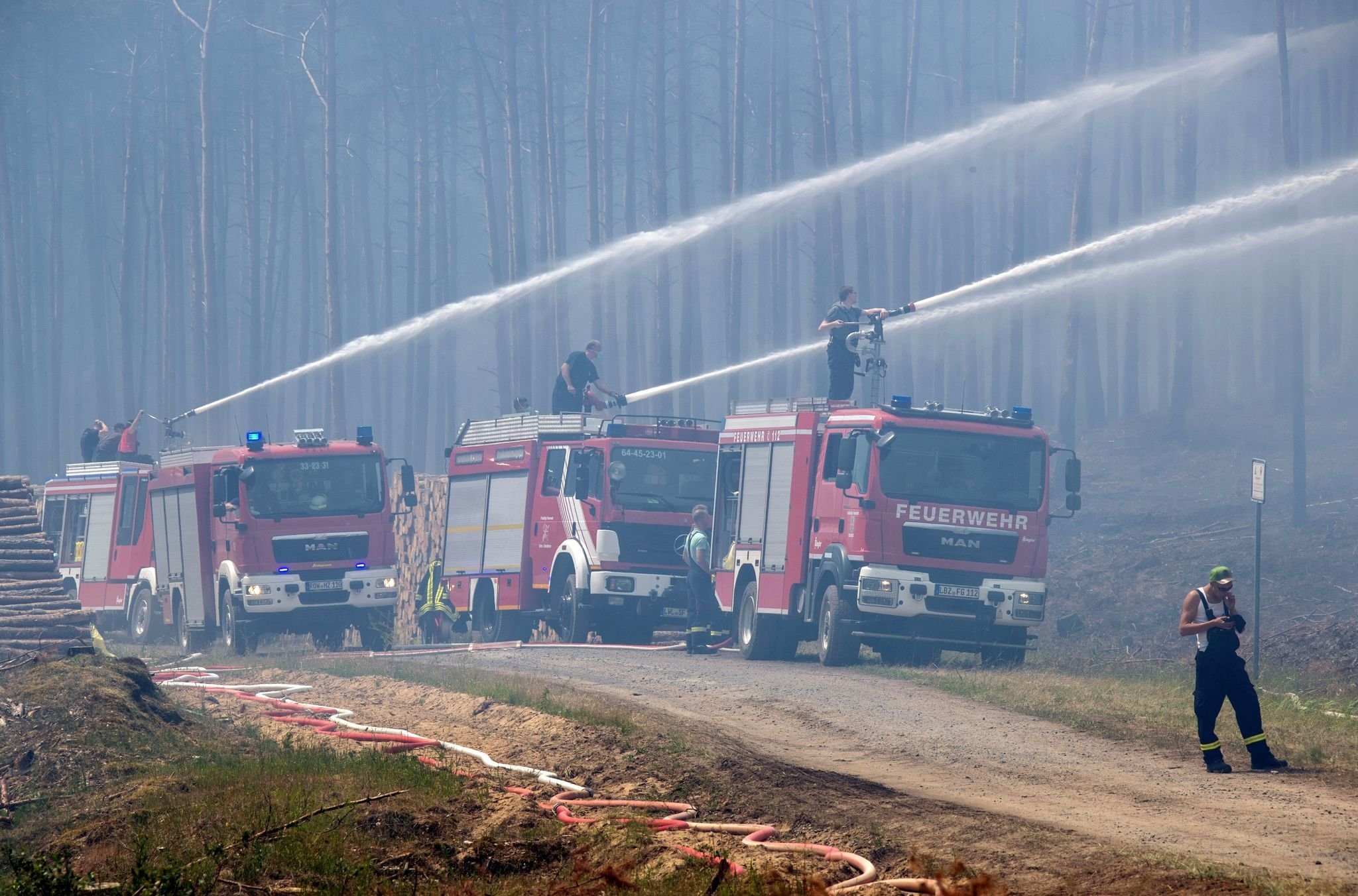 Vier Hektar Wald Bei Rheinsberg In Flammen