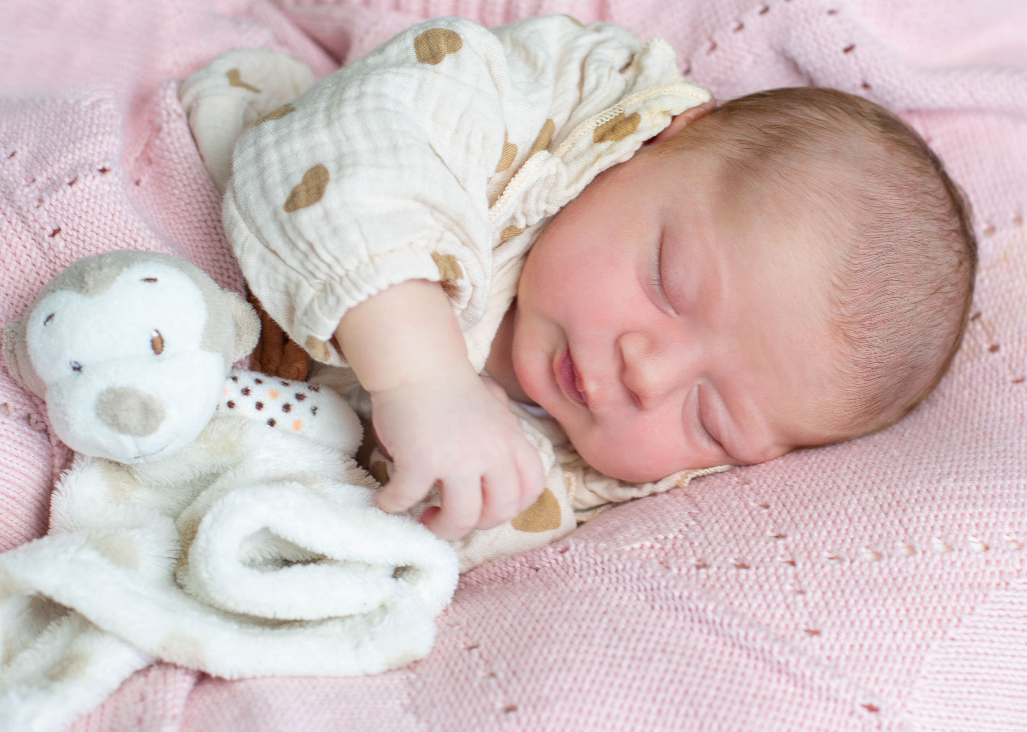 Vier Drollige Babys Starten In Neubrandenburg Ins Leben