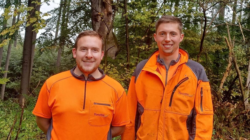 Forstwirte aus Oberschwaben unterstützen im Schwarzwald im Kampf gegen den Borkenkäfer