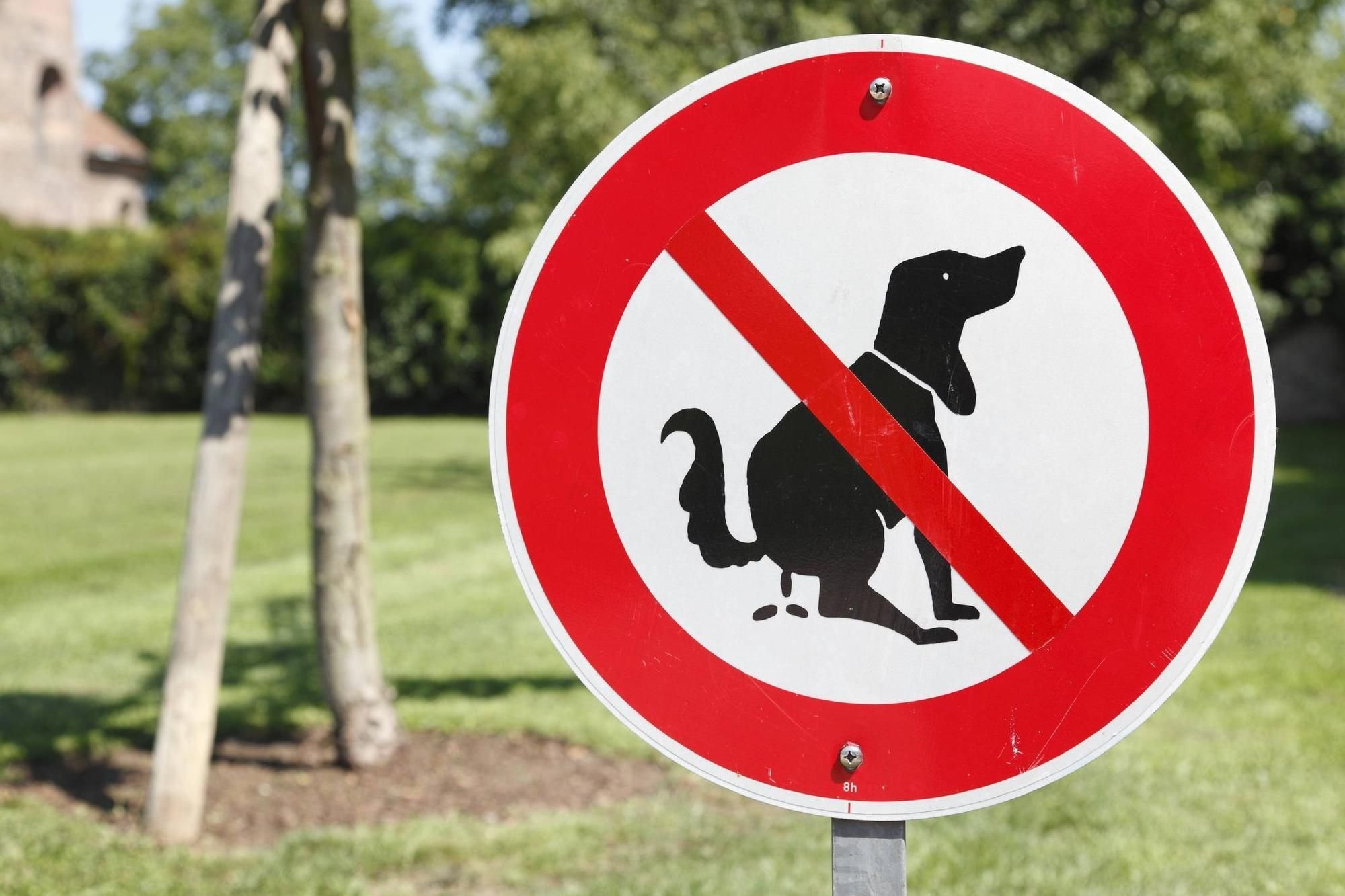 Trotz Beschwerden Schilder gegen Hundekot fehlen in Eßlingen