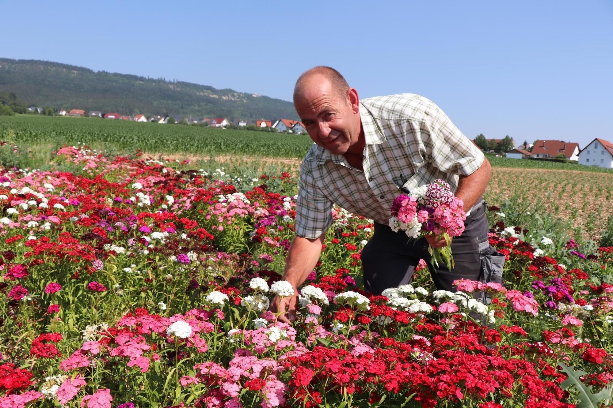 Blumen selbst pflücken Ein Geschäft auf Vertrauensbasis
