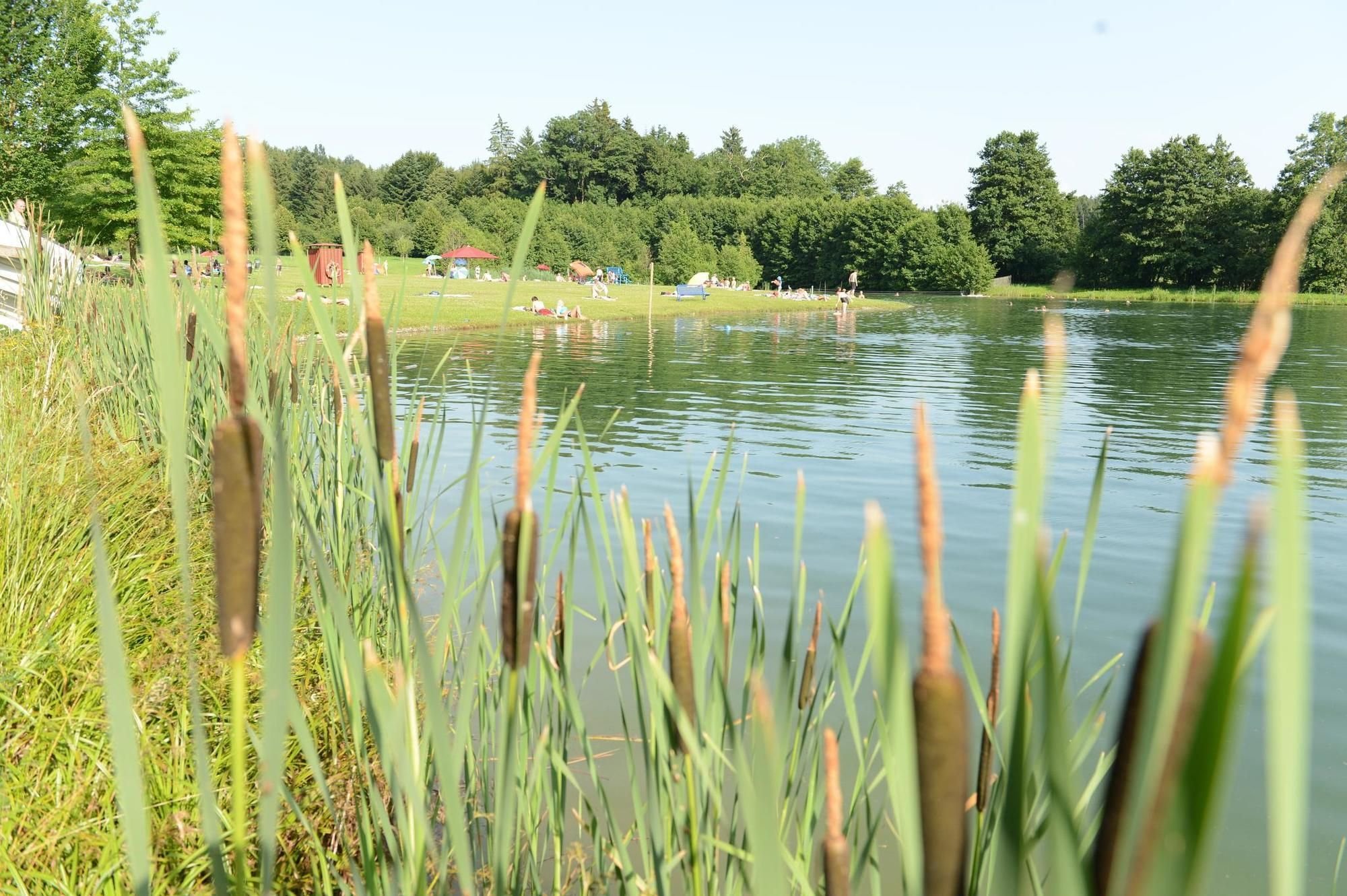 Lästiger Juckreiz nach erfrischendem Bad im Singenberger Weiher