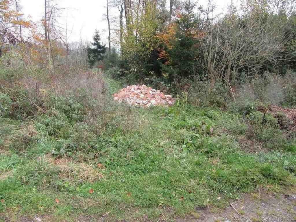 Umweltsünder Bauschutt im Wald