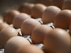 Sorgt die Vogelgrippe auf Rügen für weniger Eier?