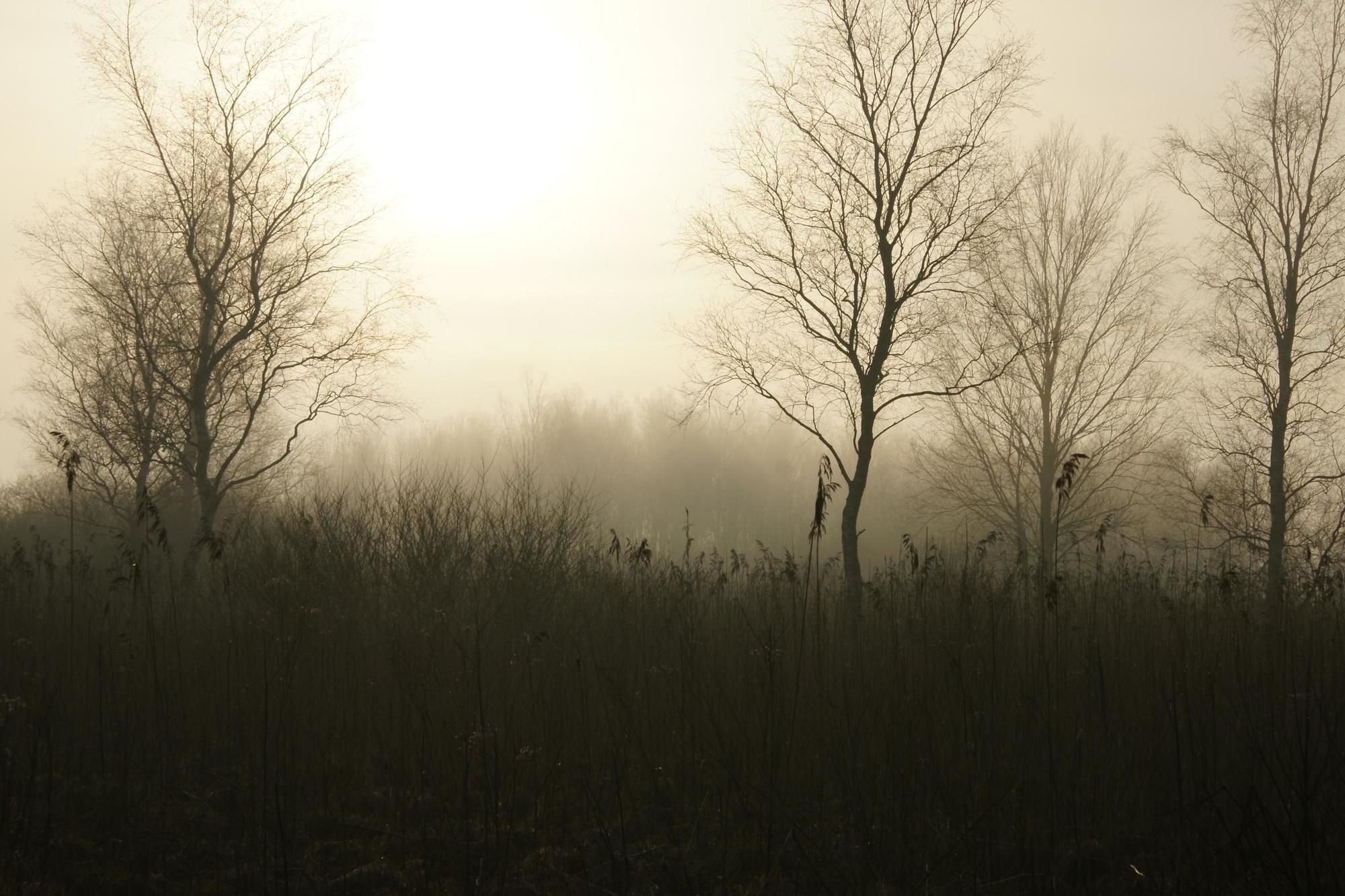 Schaurig Ist's übers Moor Zu Gehen Oh schaurig ist’s, übers Moor zu gehen