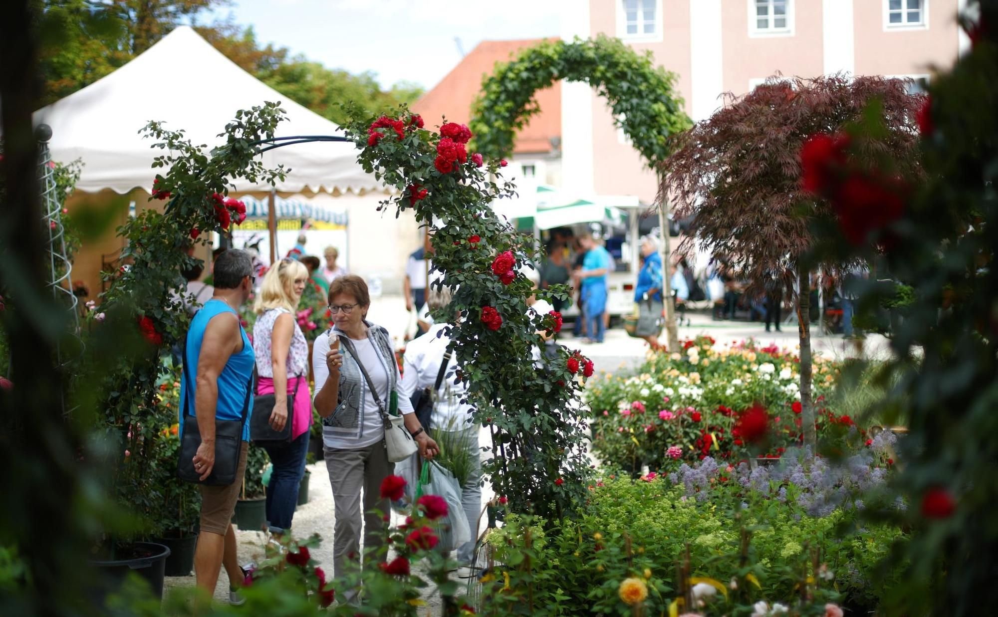 Das erwartet Sie auf der Gartenmesse Diga