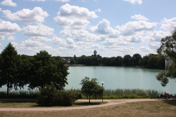 Gesundheitsamt gibt Entwarnung am Glambecker See in Neustrelitz Gesundheitsamt gibt Entwarnung am Glambecker See in Neustrelitz