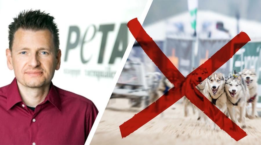 Peta fordert Abschaffung von Husky-Schlittenrennen auf Insel Usedom