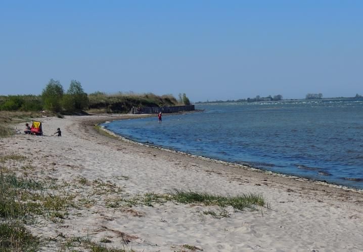 Blaualgen in der Ostsee – Strand gesperrt