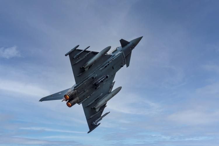 Eurofighter versetzt Tiere in Panik – Pfau bricht sich Bein