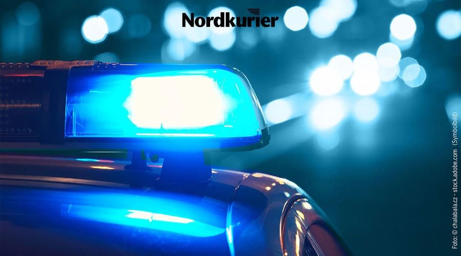Marderhund sorgt für großen Schaden an Auto