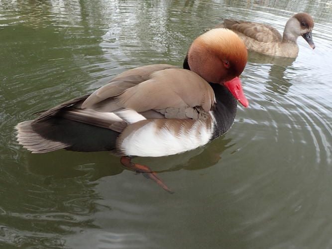 Image with id: haAXnRleMhDt