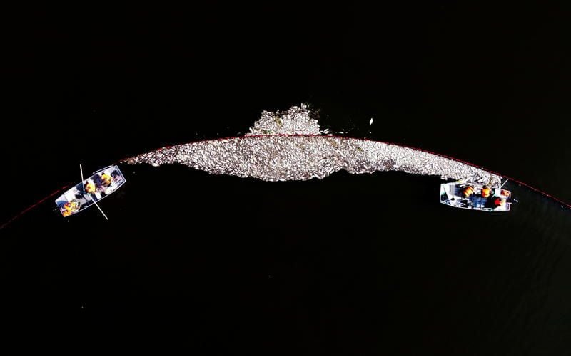 Image with id: XbGMTU1iAjGh