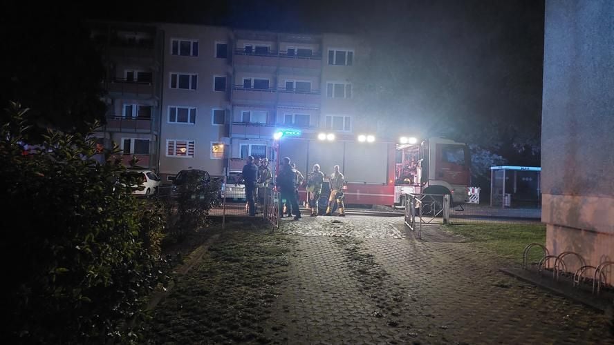 Image with id: ECZnRNPV5Zrm