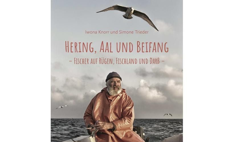 Image with id: DwDML7TGiSbN