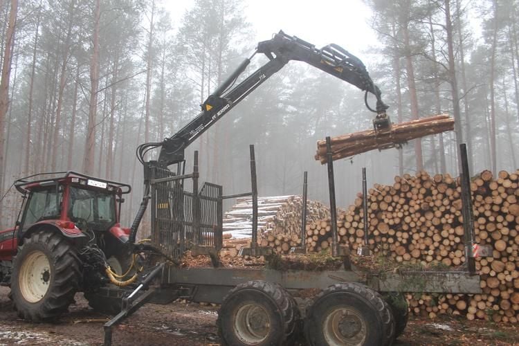 Stadtförster freuen sich über steigende Holzpreise