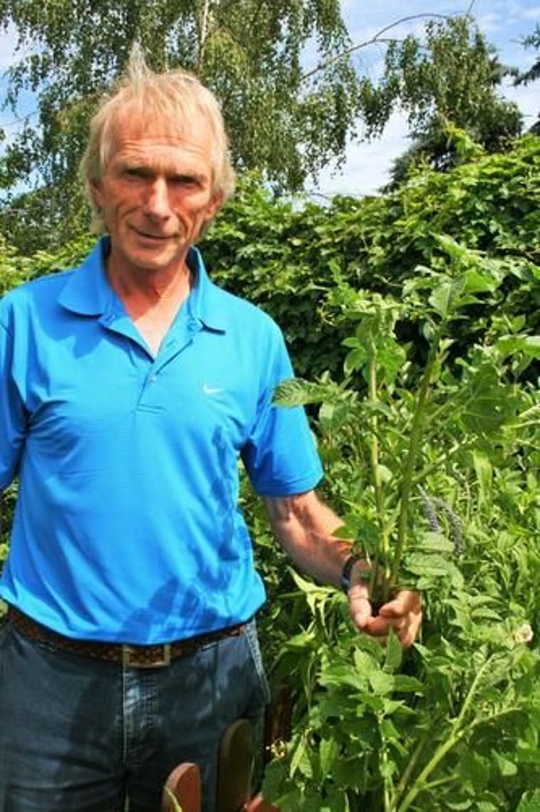 für faule Gärtner