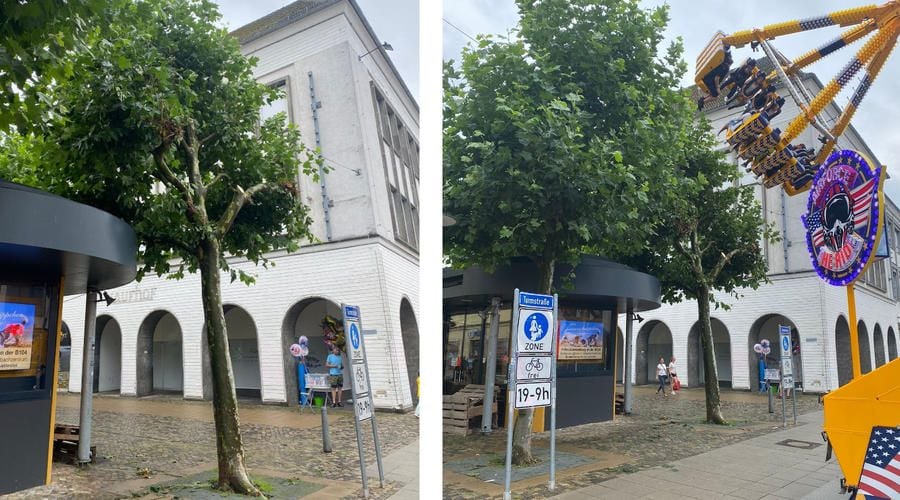 Was ist hier mit dem Baum am Neubrandenburger Boulevard passiert?