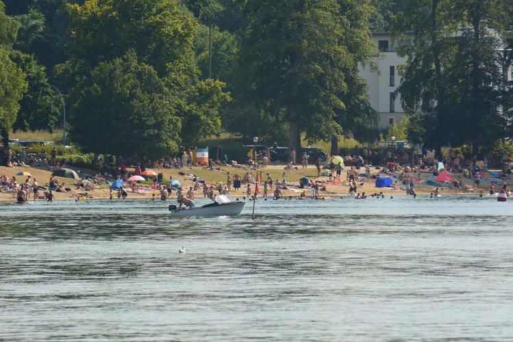 Trüben Blaualgen den Badespaß in Neubrandenburg?