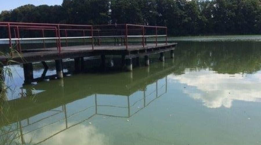 ▶ Warnung vor Badesee – Blaualgen an der Seenplatte