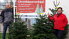 Weihnachtsbaum: Trend geht in diesem Jahr in eine klare Richtung