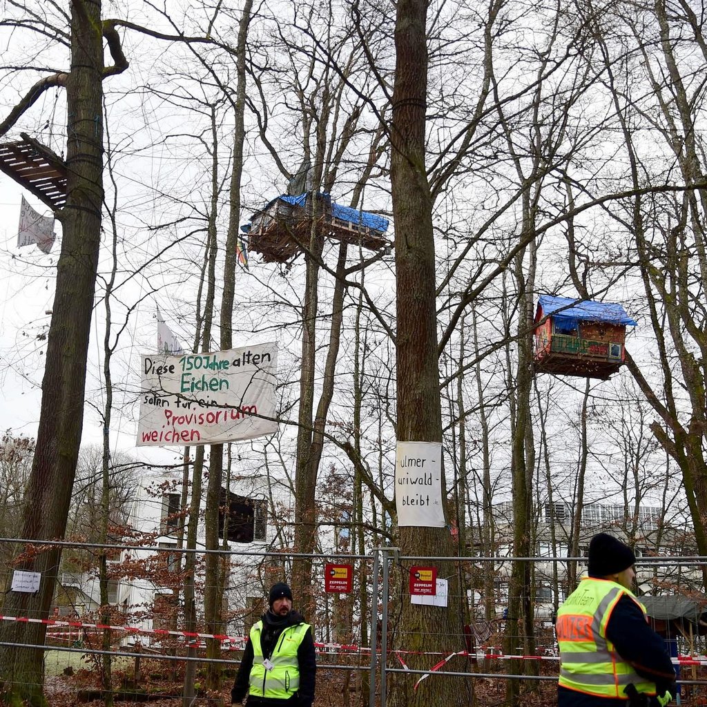 SEK räumt Baumhäuser von Klimaaktivisten im Ulmer Uniwald
