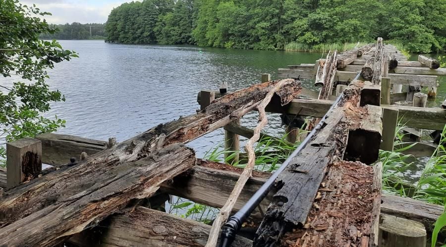 Brückenbau im Müritz-Nationalpark wird verschoben
