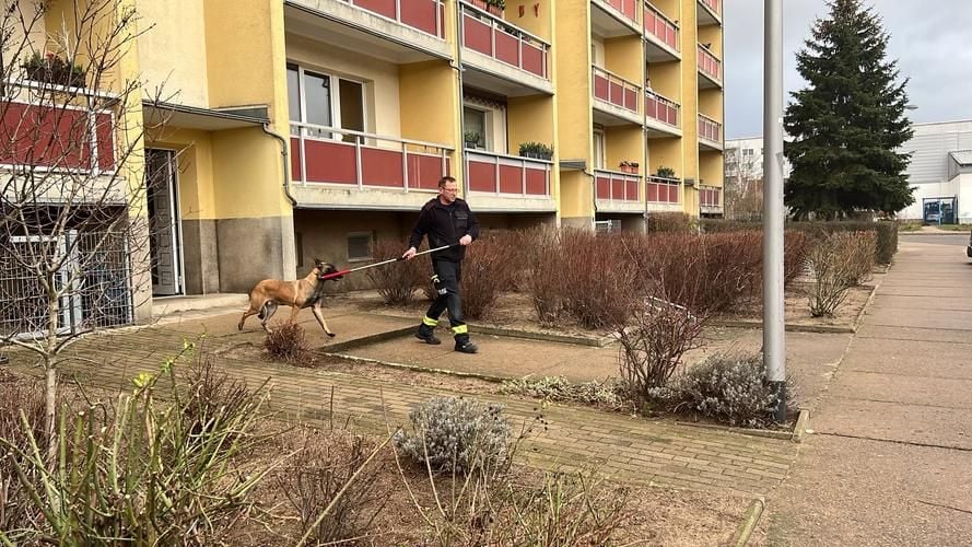 ▶ Polizei rettet vernachlässigten Hund aus Neubrandenburger Wohnung