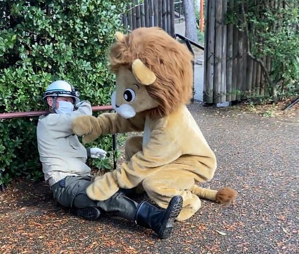 ▶ Das ist eine Katastrophenübung – Löwenattacke im Zoo!