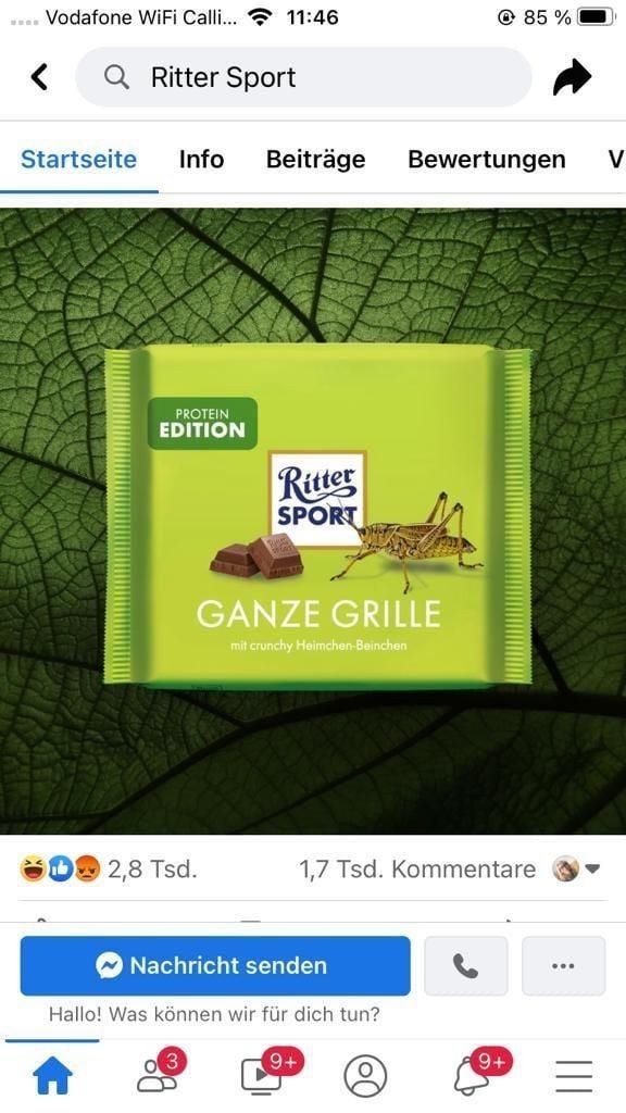 Sind Insekten in Schoko-Bons?