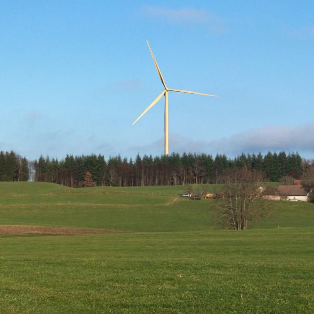 Windkraft ums Wurzacher Ried: Schreiben an Europarat