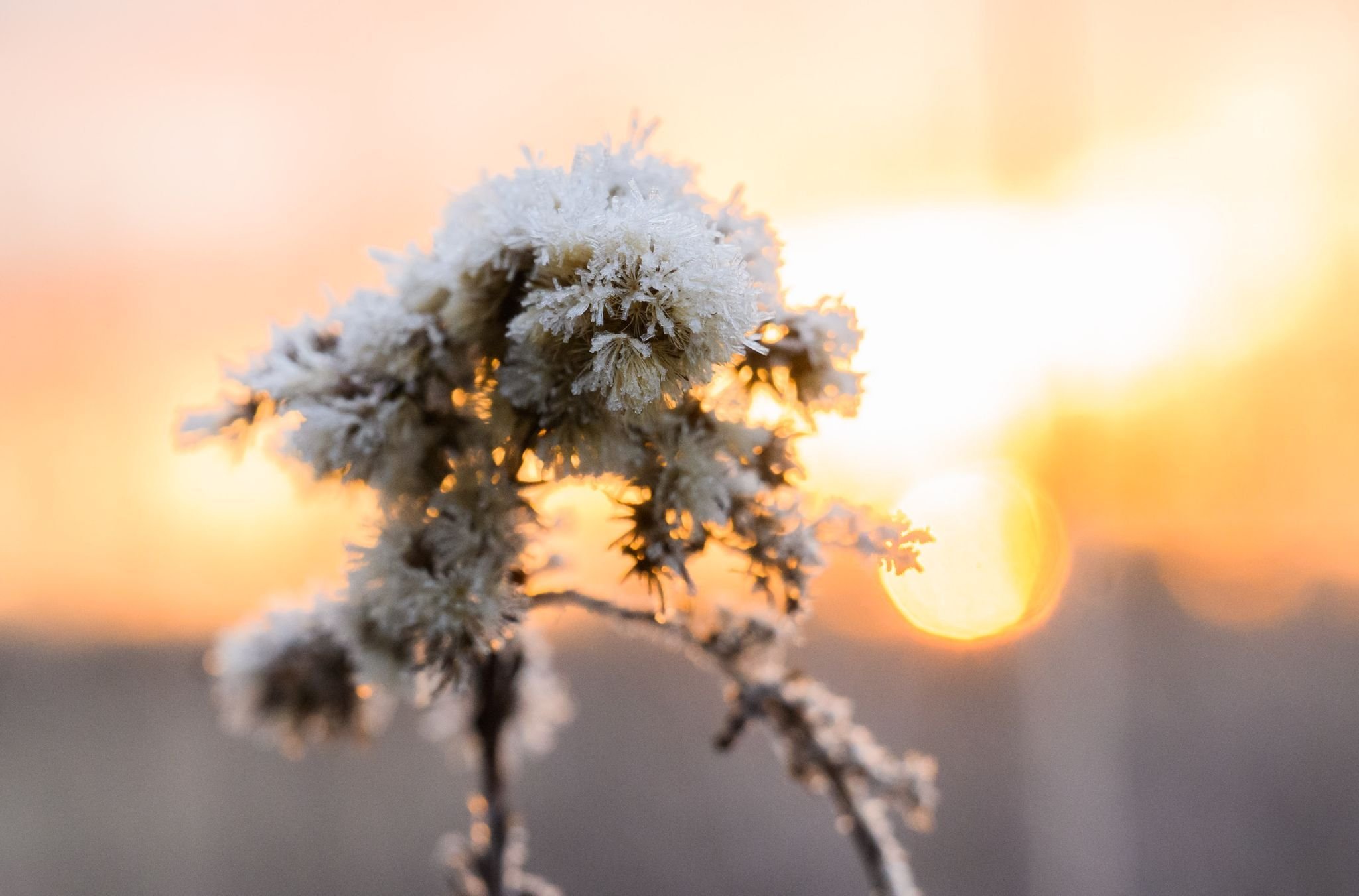 Winterliches Wetter mit viel Sonne zum Frühlingsanfang