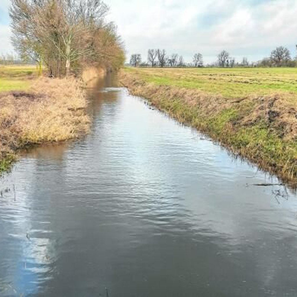 Landwirtschaft auf Moorböden braucht Strukturwandel