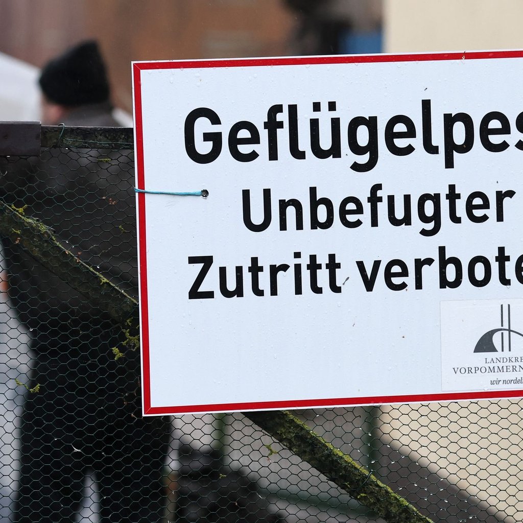 Vogelgrippe erreicht den Bodenseekreis