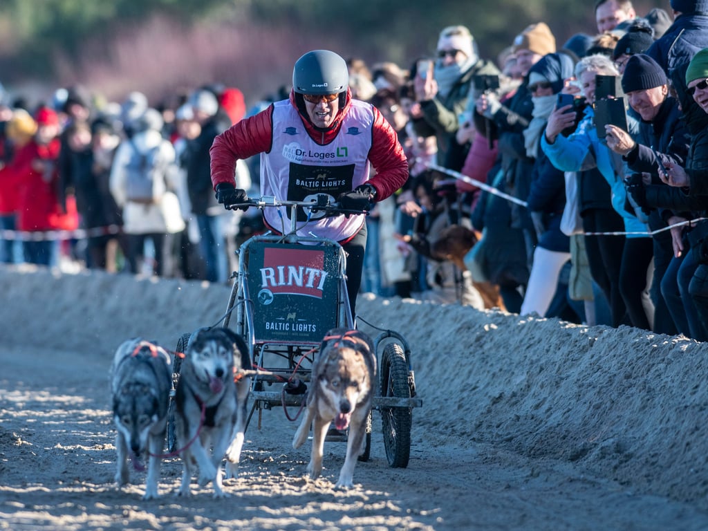 400 Huskies beim Schlittenhunderennen auf Usedom am Start