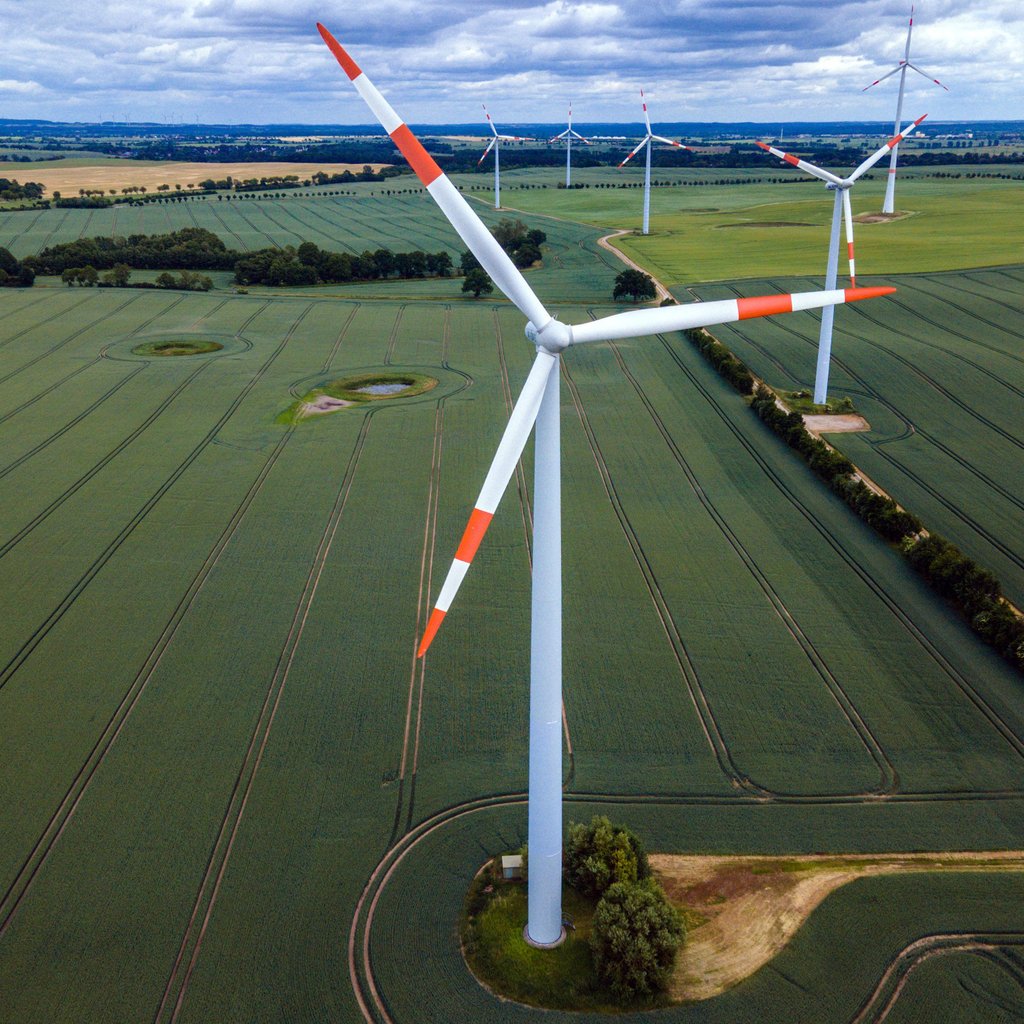 Behörde lehnt Bau neuer Windräder in der Friedländer Wiese ab
