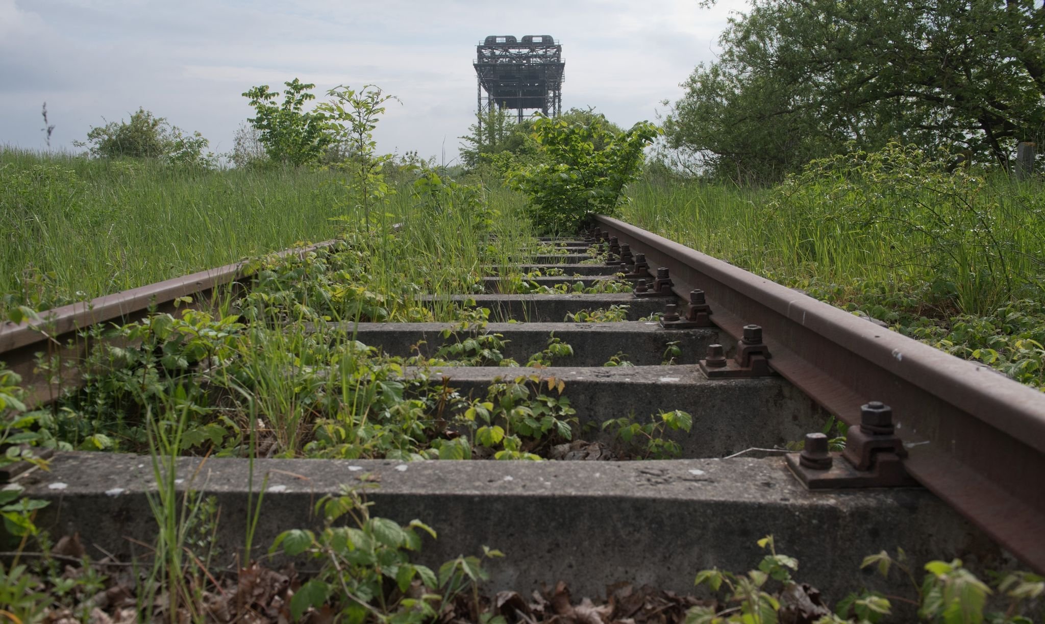 Weitere Untersuchung für Eisenbahnstrecke nach Usedom