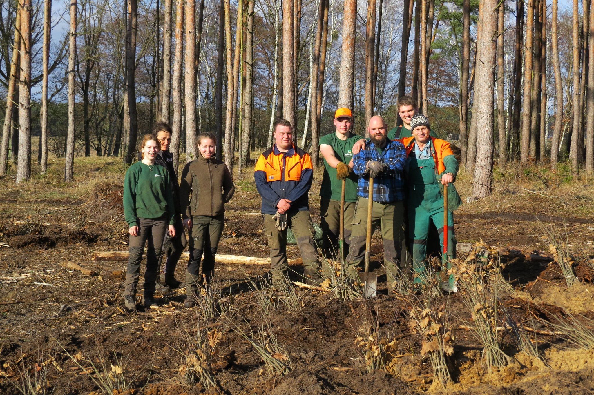 Wald, Forst, Förster, Bäume, Pflanzen, Pflanzaktion, Natur, Umwelt