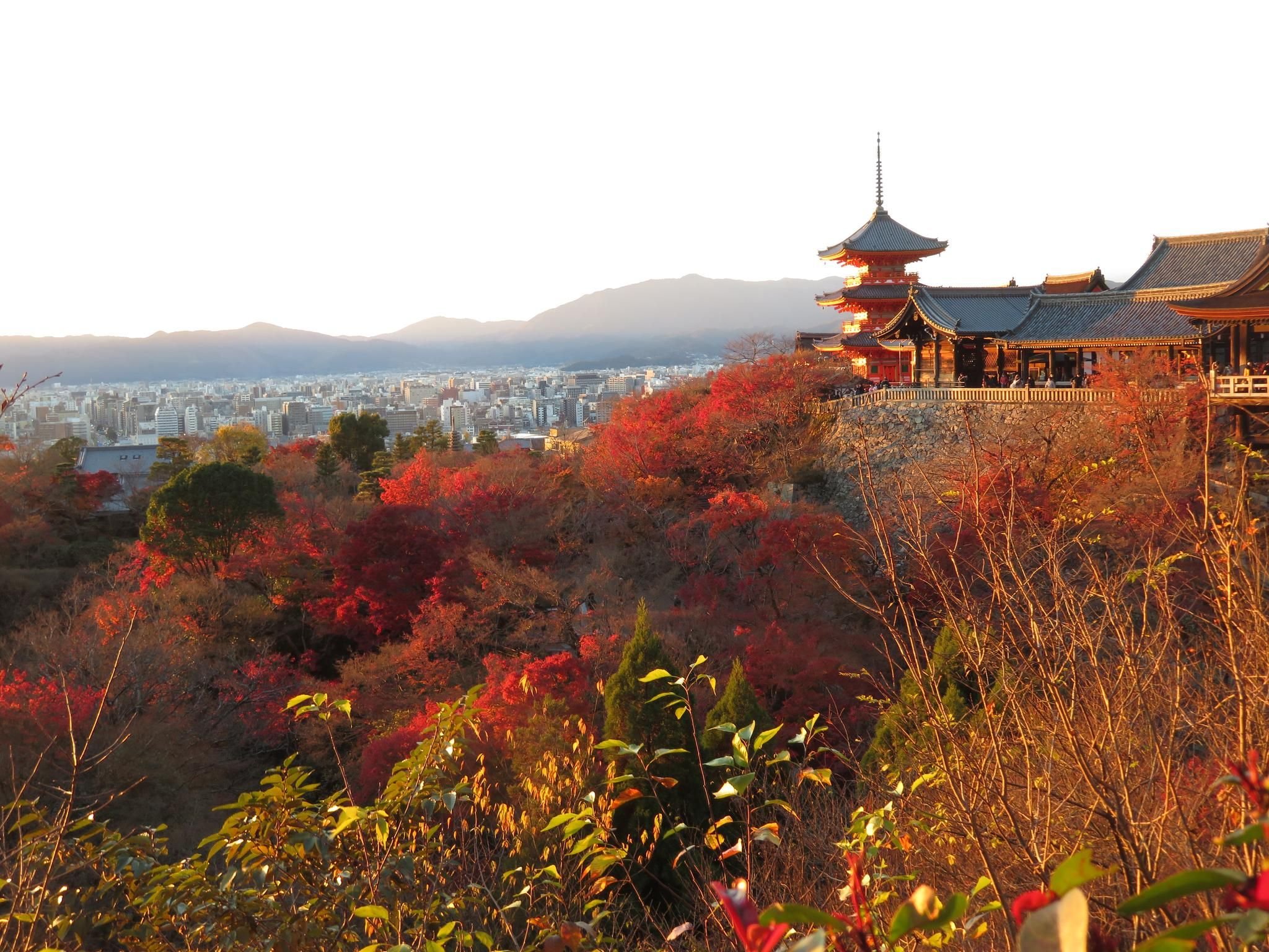 Reisetipp vom Experten: Kyoto