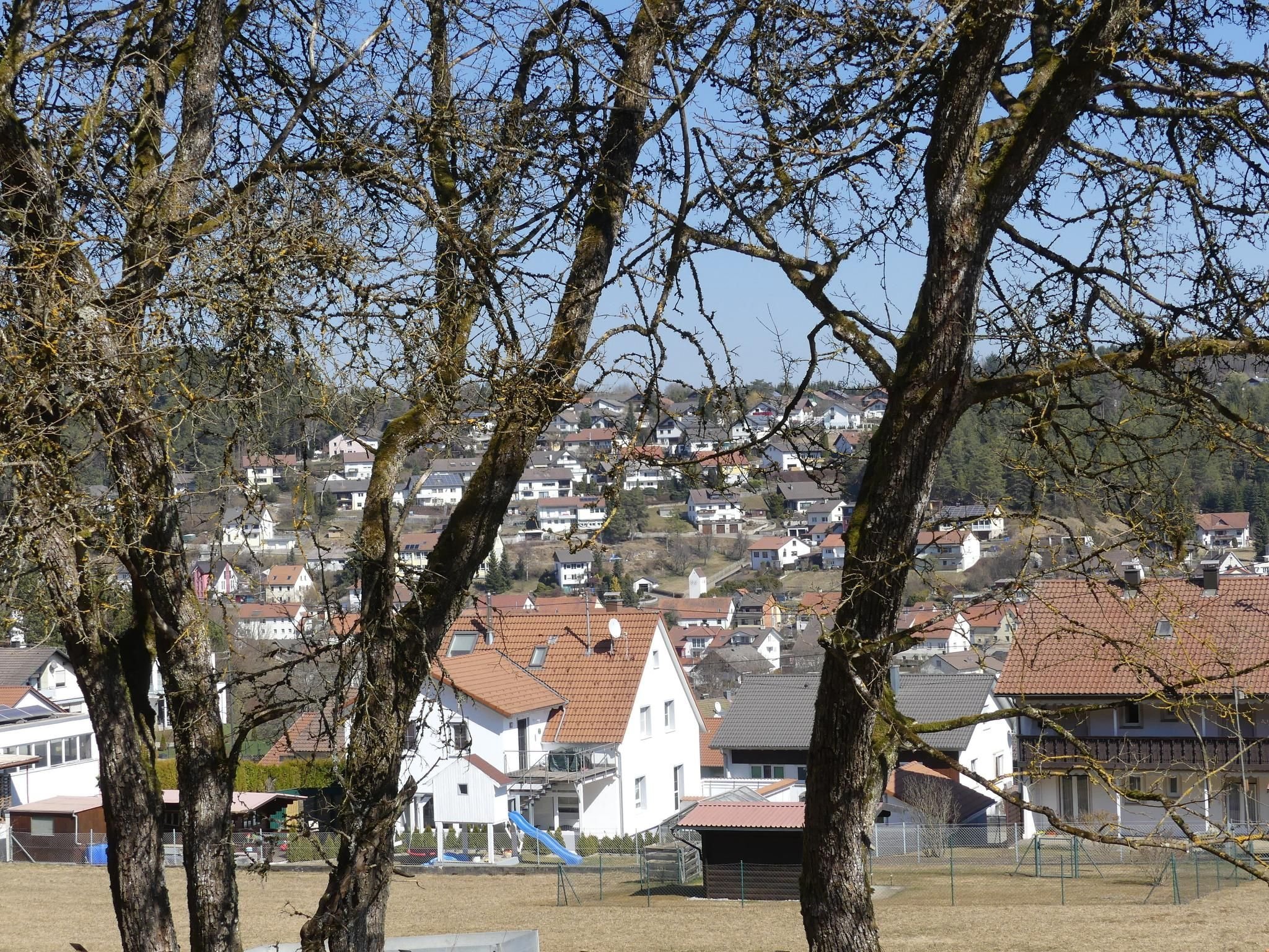 Aktuelle Nachrichten Neufra und Umgebung schwaebische.de