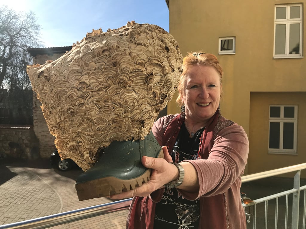 Imker weiß mehr über das Insektennest am Gartenstiefel