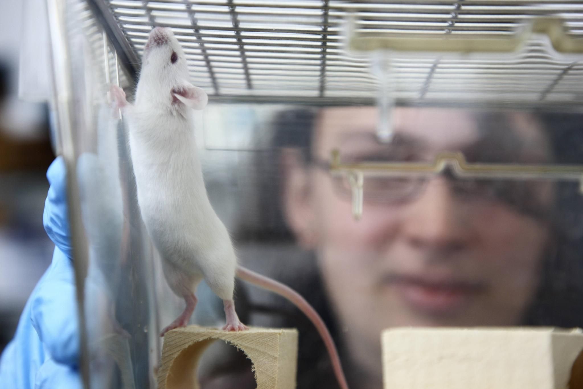 Image with id: -3EVb-Ohbpig