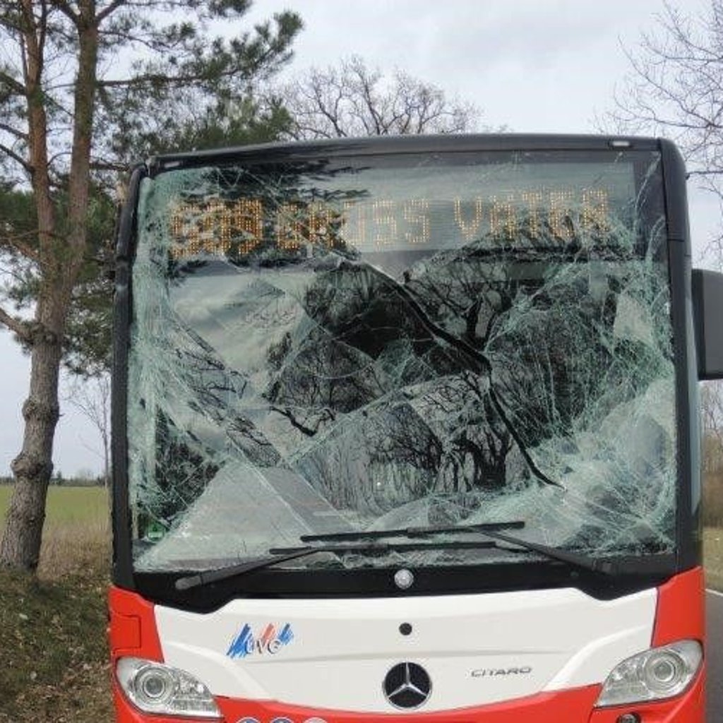 Linienbus crasht bei Templin gegen Baum