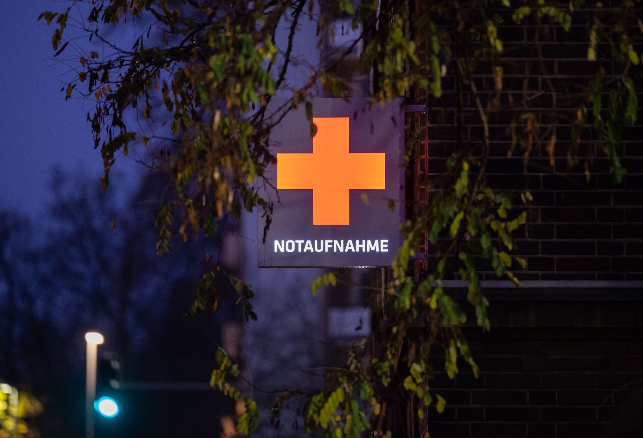 24–Jähriger fährt gegen Baum und schwer verletzt
