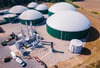 Torgelower Bioenergiezentrum nimmt Betrieb auf