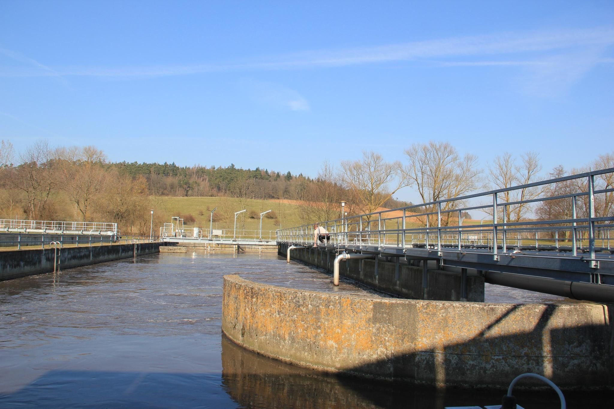 51+ Phosphatfällung Teich, Ein häufiges problem in gartenteichen