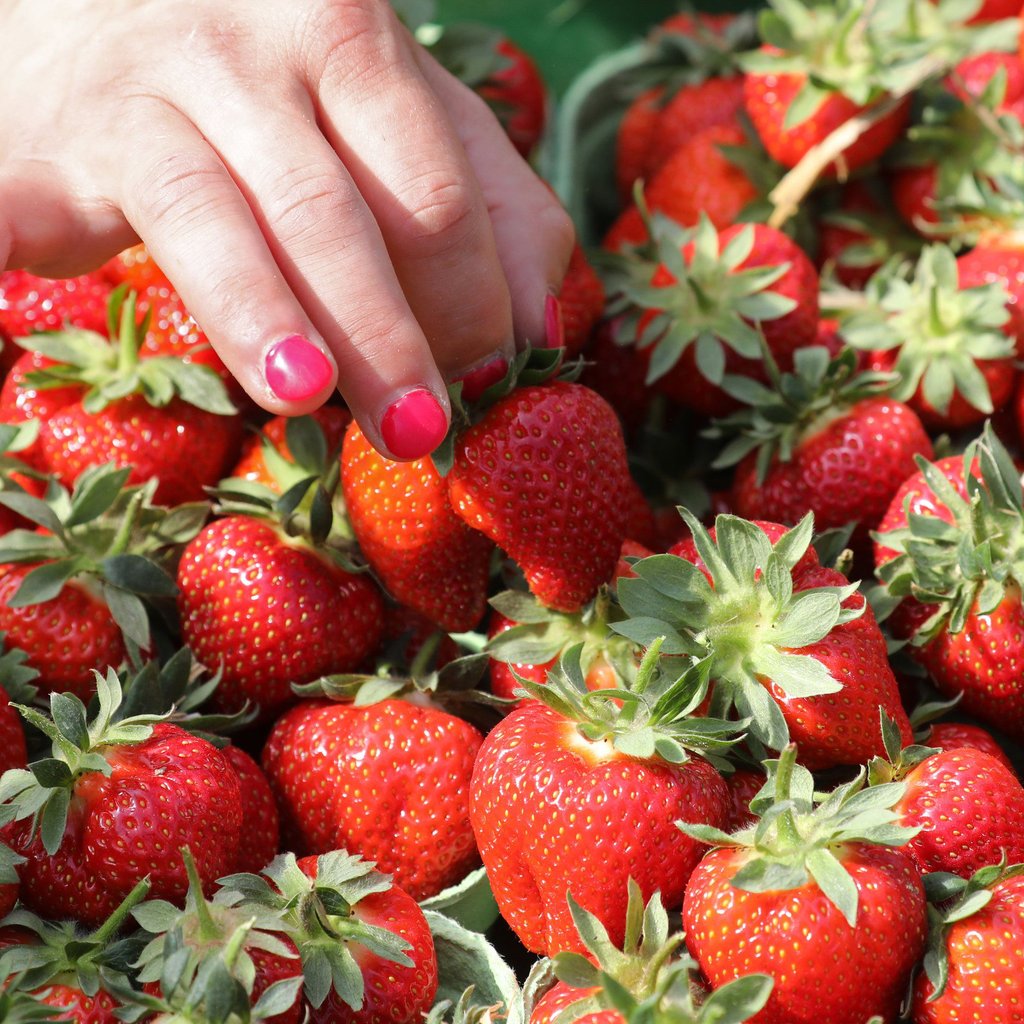 Erdbeer–Verkäuferin in Waren fällt auf Betrug rein