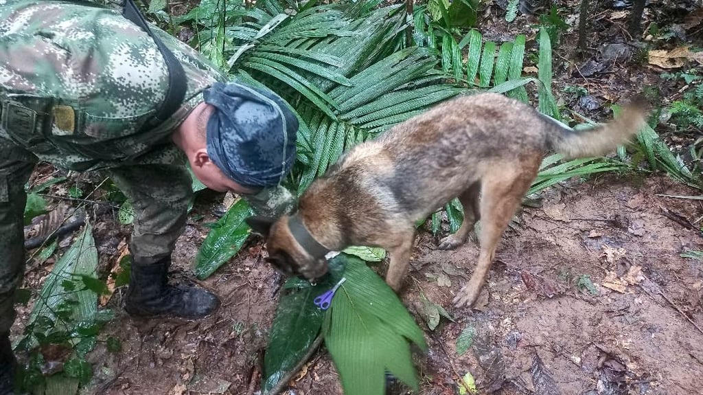 Soldaten suchen nach Flugzeugabsturz vier Kinder im Dschungel