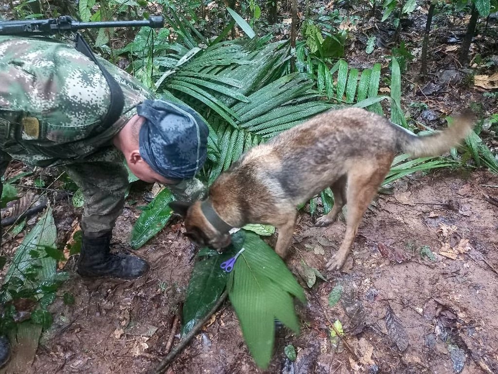 Soldaten suchen nach Flugzeugabsturz vier Kinder im Dschungel